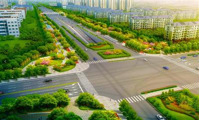 泰中路绿化及照明工程